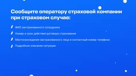 Что такое страховой риск