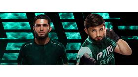 Досрочная победа в UFC: что это и как достигается в Мери Кей