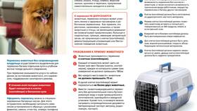 Как купить билет РЖД с животными в Мери Кей