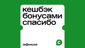 Как начисляются бонусы СберСпасибо от Сбербанка в Мери Кей