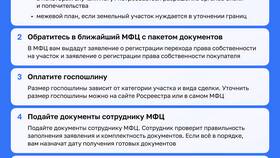 Как оформить межевание земельного участка через МФЦ в Мери Кей