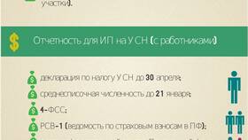 Как подать отчетность ИП: полное руководство в Мери Кей