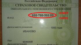 Как узнать трудовой стаж по СНИЛС в Мери Кей