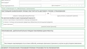 Как вернуть страховку по кредиту Плюс в Мери Кей