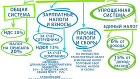 ООО на УСН: что платят в Мери Кей