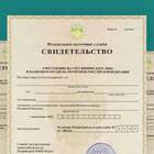 ИНН: идентификационный номер налогоплательщика